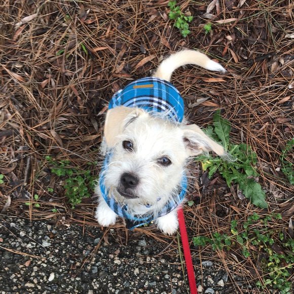 Meet your Posher, KelsoBurkhart - Picture 1 of 1